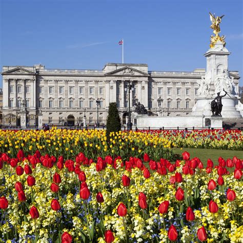 Buckingham Palace Gardens Tour – Beautiful Flower Arrangements and Flower Gardens