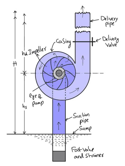 Force Diagram In A Centrifugal Pump Centrifugal Force Defini