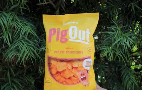 Vegan Pig Out Bacon Chips to Disrupt the Pork Rind Snack Industry (Updated May 2019) | LIVEKINDLY