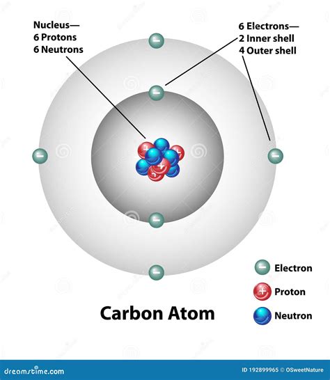 Labelled Diagram Of An Atom