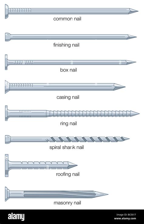 Different Types Of Nails