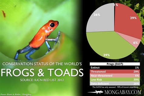 CHART: The world's most endangered frogs