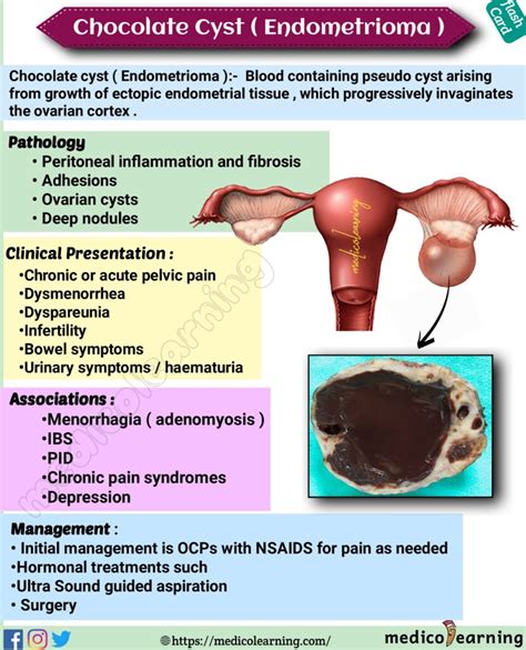 What Causes A Bleeding Ovarian Cyst With Pictures