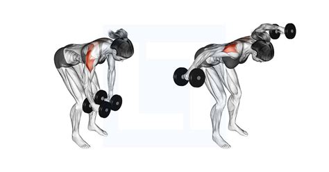 Dumbbell Rear Delt Raise - Guide, Benefits, and Form