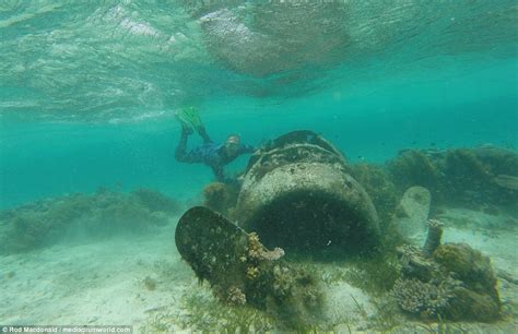 Photos show the wrecks of US and Japanese fighter planes shot down in WW2 | Daily Mail Online