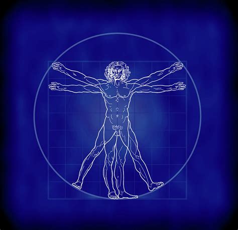 Vitruvian Man Blueprint Digital Art by Daniel Hagerman