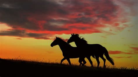 Aesthetic Sunset Horse Wallpapers - Wallpaper Cave