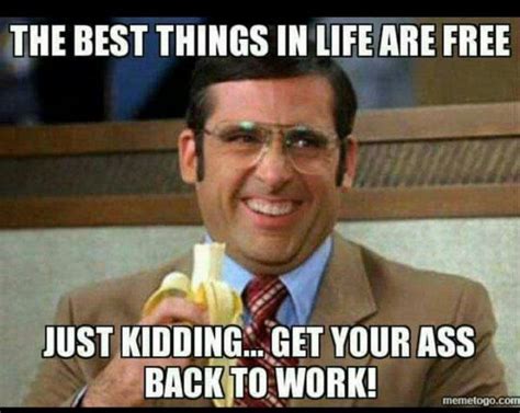 21 Back to Work Memes - "The best things in life are free. Just kidding...get your ass back to ...