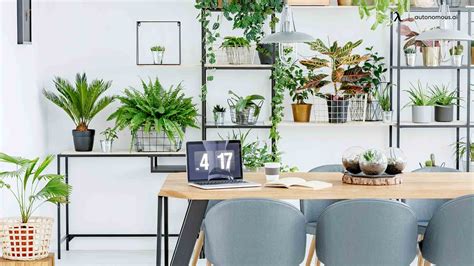 10 Best Office Desk Plants That Bring the Green to Workspace