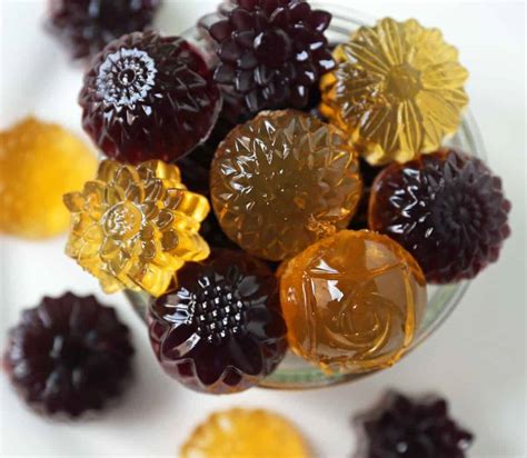 Homemade Gummy Fruit Snacks – Modern Honey