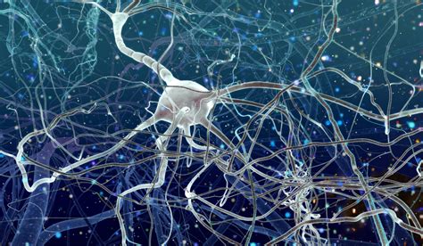 Neuroplasticity: 3 Ways To Rewire Your Brain For A Better Life