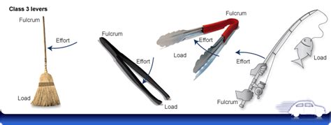 Third class levers examples | Science online