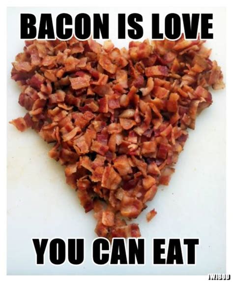 Bacon Memes | Baconcoma.com | Page 40