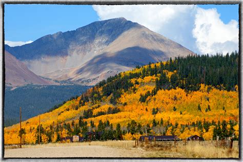 Fall aspen trees in CO | Aspen trees, Happy places, Favorite places