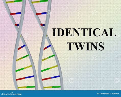 Identical Twins concept stock illustration. Illustration of cheerful - 105924998