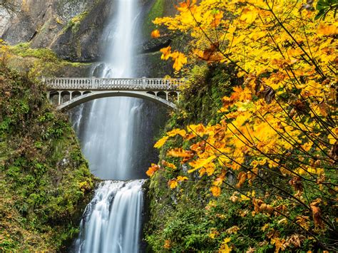 multnomah, Falls, Columbia, River, Gorge, Oregon, Waterfall, Autumn Wallpapers HD / Desktop and ...