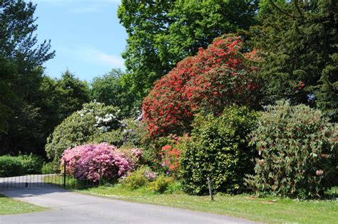 Ravenglass - Muncaster Castle and Gardens - the Gardens - Visit Cumbria