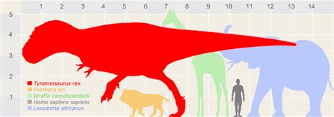 Dinosaur Size Comparison Elephant