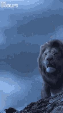 Lion GIF - Lion - Discover & Share GIFs