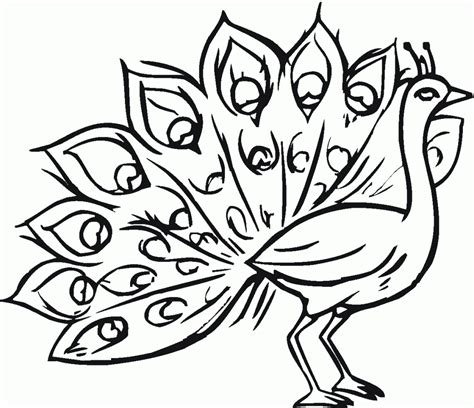 Free Printable Peacock Coloring Pages For Kids