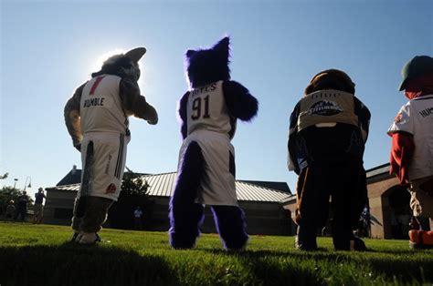 New Mascot at the College of Idaho | Photo Gallery | idahopress.com