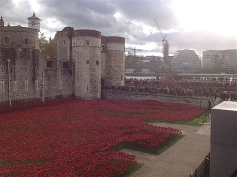 Trip to see the WW1 Poppies at The Tower of London - Crossroads Care - South East London