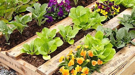 DIY Pallet Raised Garden Bed | Garden Gate