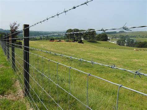 Barbed Wire for Prison, Airport, Farm, Ranch, Residence Fencing