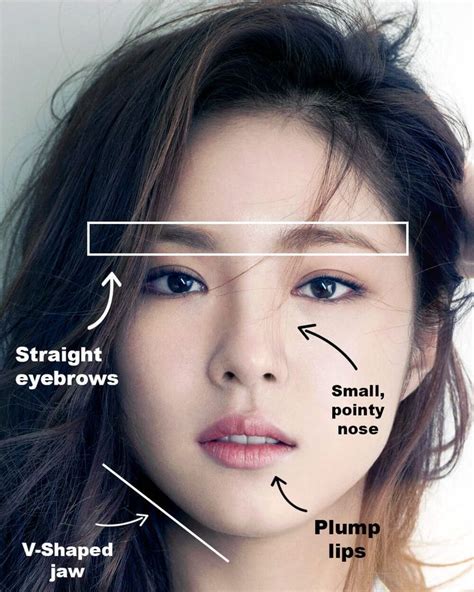 Korean Beauty Standards | Belleza coreana, Cejas rectas, Belleza