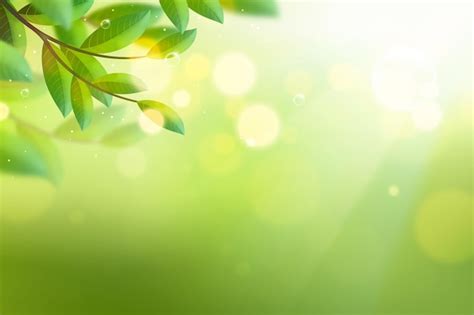 97 + Background Green Nature free Download - MyWeb