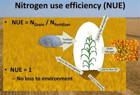 Uses Of Nitrogen