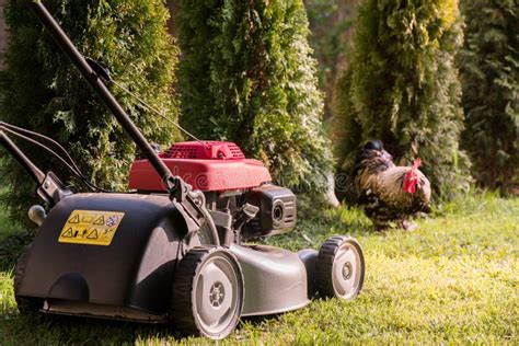 Lawn mower cutting grass stock photo. Image of nature - 117314420