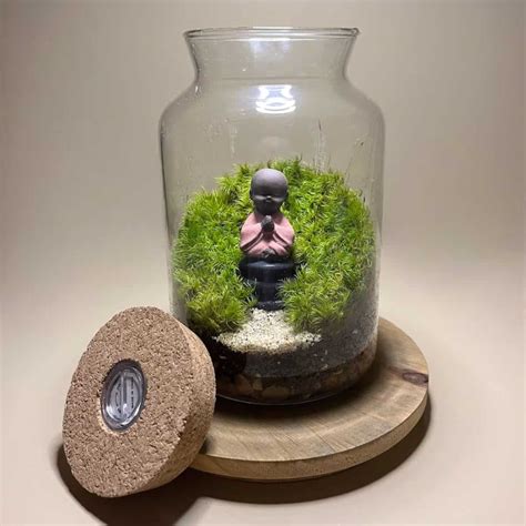 The 5 Best Moss Terrarium Kits for Sale (For Every Project)