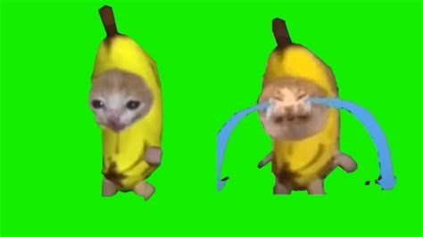 Banana Cat Crying 10 Hours, 51% OFF