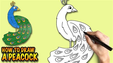 How to draw a Peacock - Easy step-by-step drawing lessons for kids | Drawing lessons for kids ...