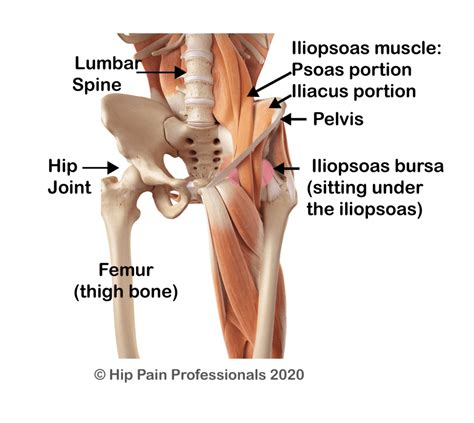 Hip Flexor Pain Causes