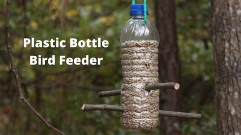 Plastic Bottle Bird Feeder – starkidslearn.com