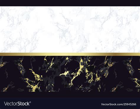 Black and white marble background with gold Vector Image