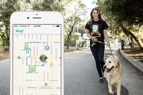 The Best Dog Walking Apps