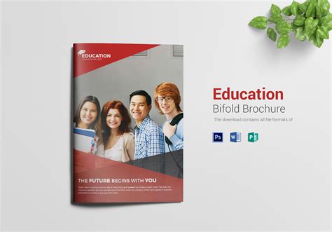 Higher Educational Brochure Design Template in Word, PSD, Publisher