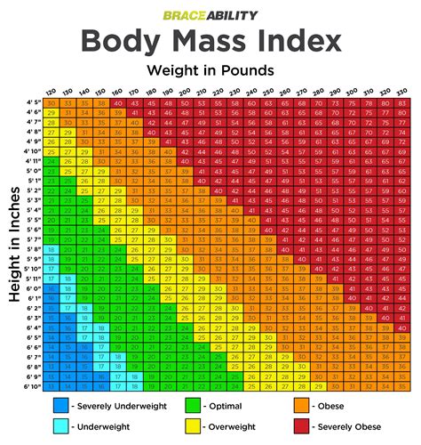 Are you Overweight or Obese? Try our BMI Calculator Chart