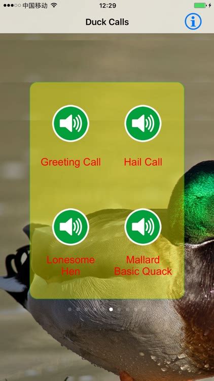 Duck Hunting Calls & Sounds - Real Duck Calls by Jing Ren