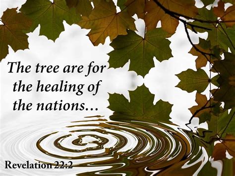 Revelation 22 2 The Tree Are For The Healing Powerpoint Church Sermon