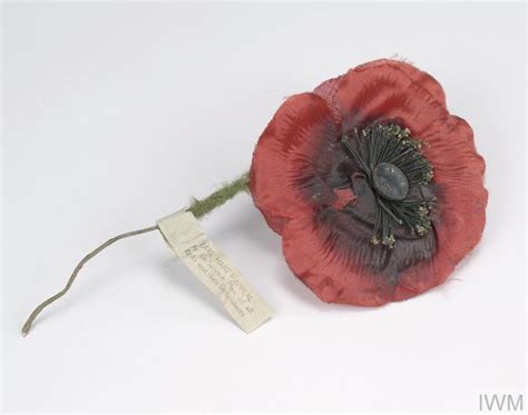 Why We Wear Poppies On Remembrance Day | Imperial War Museums