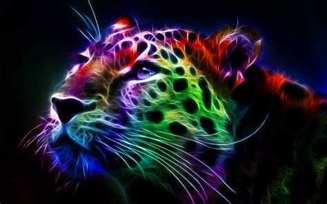 🔥 [50+] Rainbow Cheetah Wallpapers | WallpaperSafari