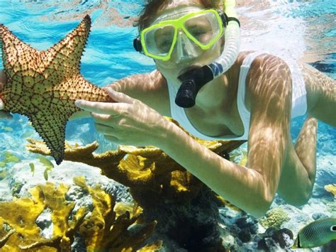 San Juan Snorkeling Tour | San Juan Tours