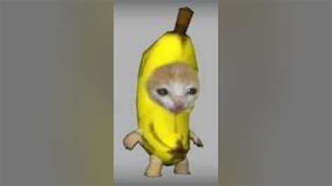 Banana Cat Song - YouTube