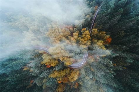 landscape, Nature, Oregon, Forest, Road, Highway, Fall, Mist, Drone, Aerial View, Trees ...