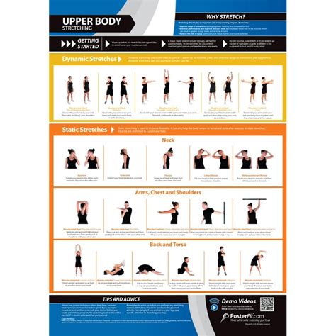 Upper Body Stretching Poster - Innovative Gym & Fitness Charts