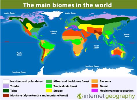 Where Is The Tundra Located On Earth - The Earth Images Revimage.Org